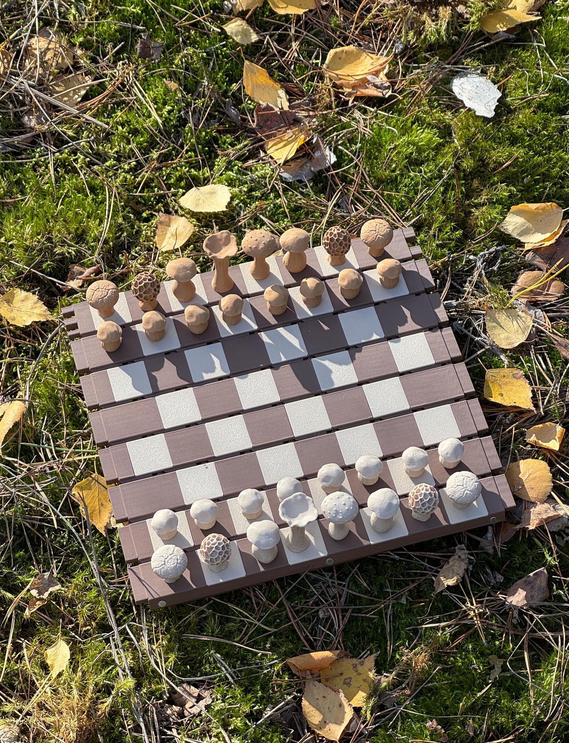 ShroomBattle - Magnetic Mushroom Chess