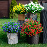 FloraCharm - Colorful Faux Flower Collection