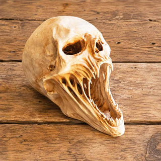 💀Last Day 60% OFF - Mushroom Body Planter