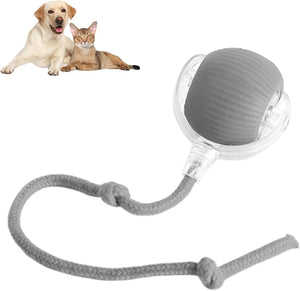PetPlay - Smart Interactive Pet Toy Ball