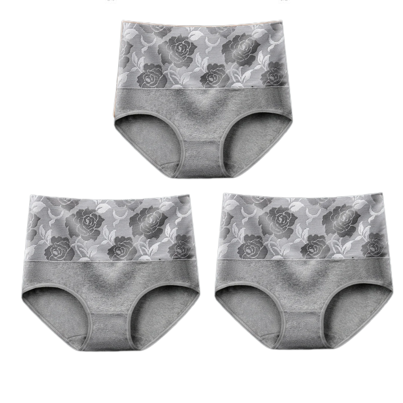 FlexiShape – High Waist Leak Proof Control Panties