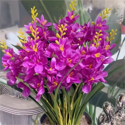 MidnightPetal – Luxury Tuberose Fragrance