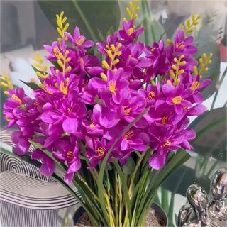MidnightPetal – Luxury Tuberose Fragrance