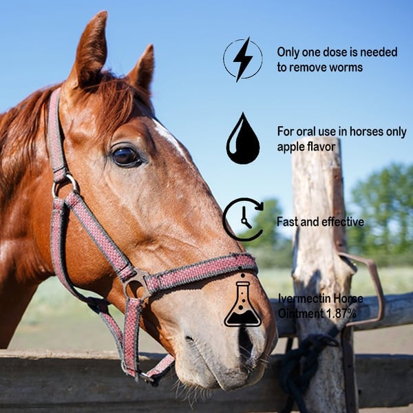 StableSafe - Trusted Horse Parasite Control