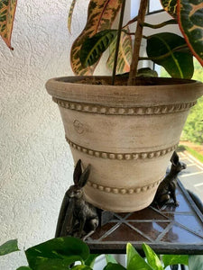 PlantPerch – Animal-Shaped Pot Risers