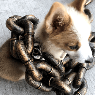 FlexChain – Life-Like Iron Chain Dog Leash for Strong Control