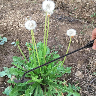 WeedWarden - Effortless Garden Weeder