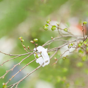 StemHold – Reusable Clips for Upright Plants
