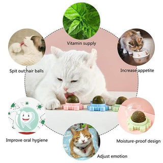 FelineFizz - Natural Rotating Catnip Ball