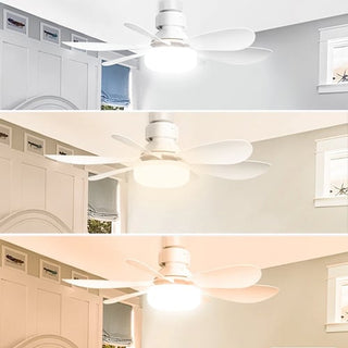 BreezeLux | 2-in-1 Socket Ceiling Fan with Light