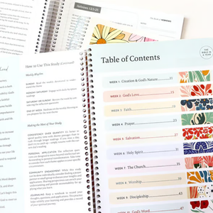 A Year in the Bible – 52-Week Study Hardcover Book