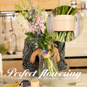 PetalSwirl – Elegant Ikebana Stem Holder