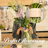 PetalSwirl – Elegant Ikebana Stem Holder