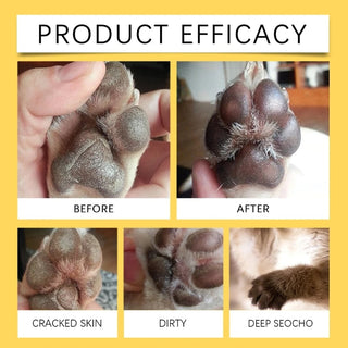KittyShield – Paw & Nose Healing Ointment