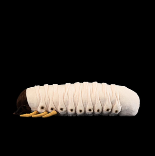 PlushGrub – Soft Stuffed White Larva Toy