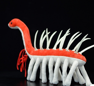HalluPlush – Cambrian Creature Soft Toy