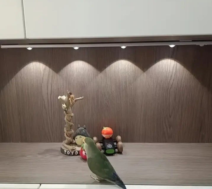 SensaRay - Elegant Motion-Activated Light Bar