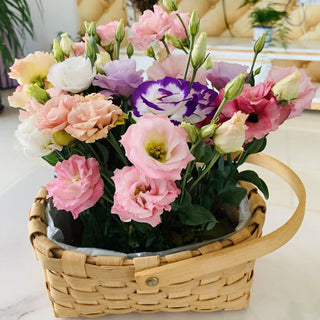 PetalSerenity – Premium Lisianthus Seeds