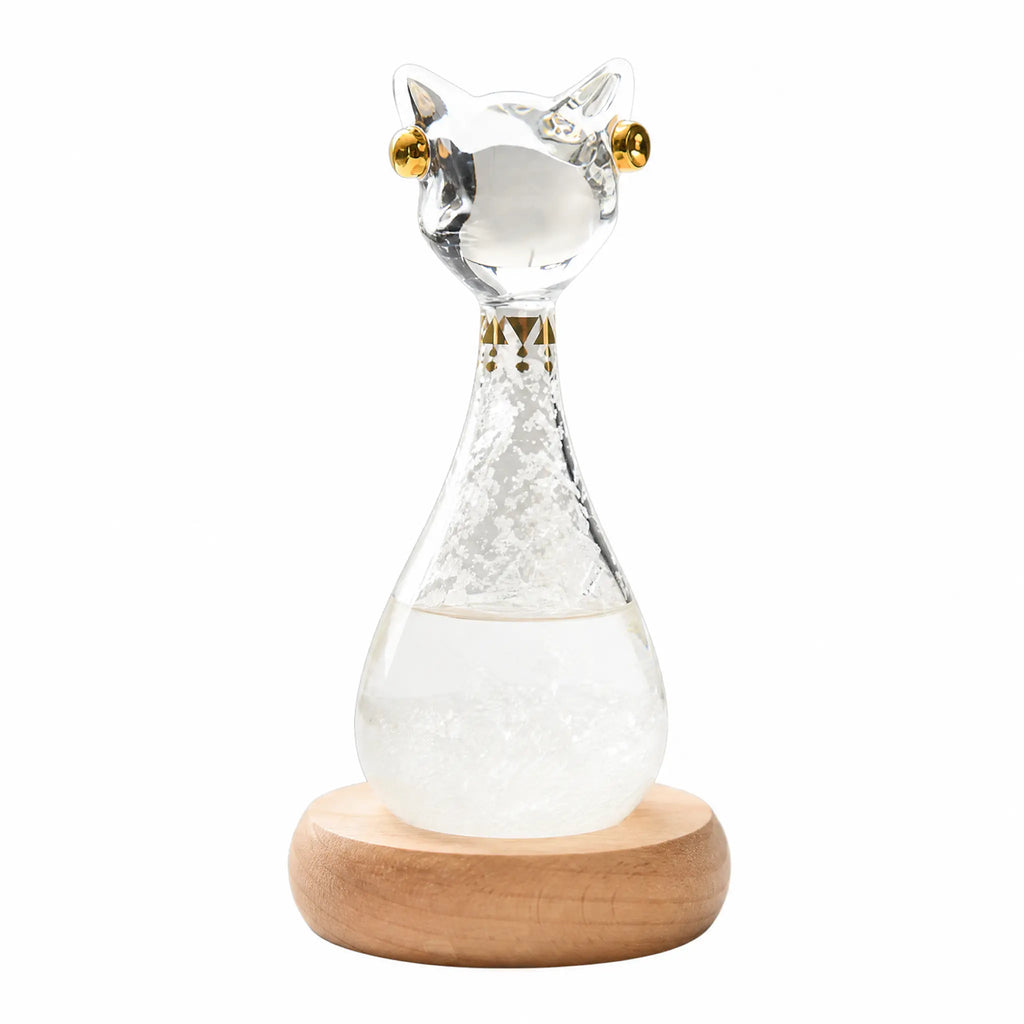 ForecastCharm – Cat Design Liquid Weather Predictor