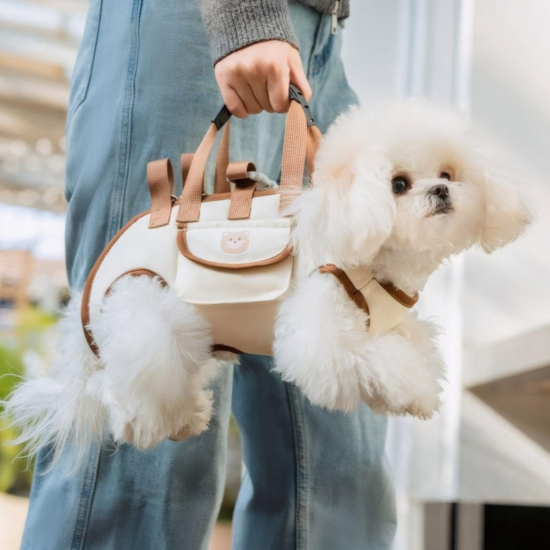 PawPort – Hands-Free Pet Carrier Harness