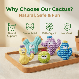 CatnipCove - Cactus Play Toy Collection