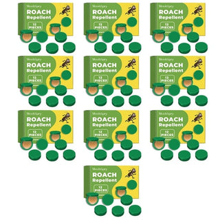 InsectoStop – Fast Acting Roach Control