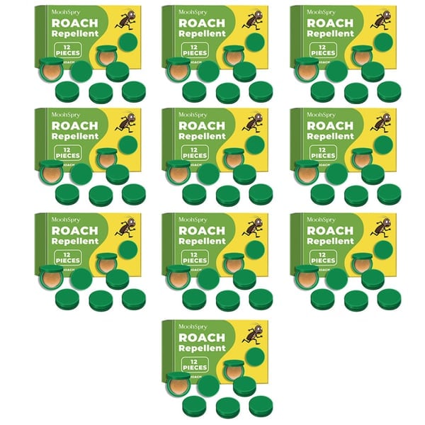 InsectoStop – Fast Acting Roach Control