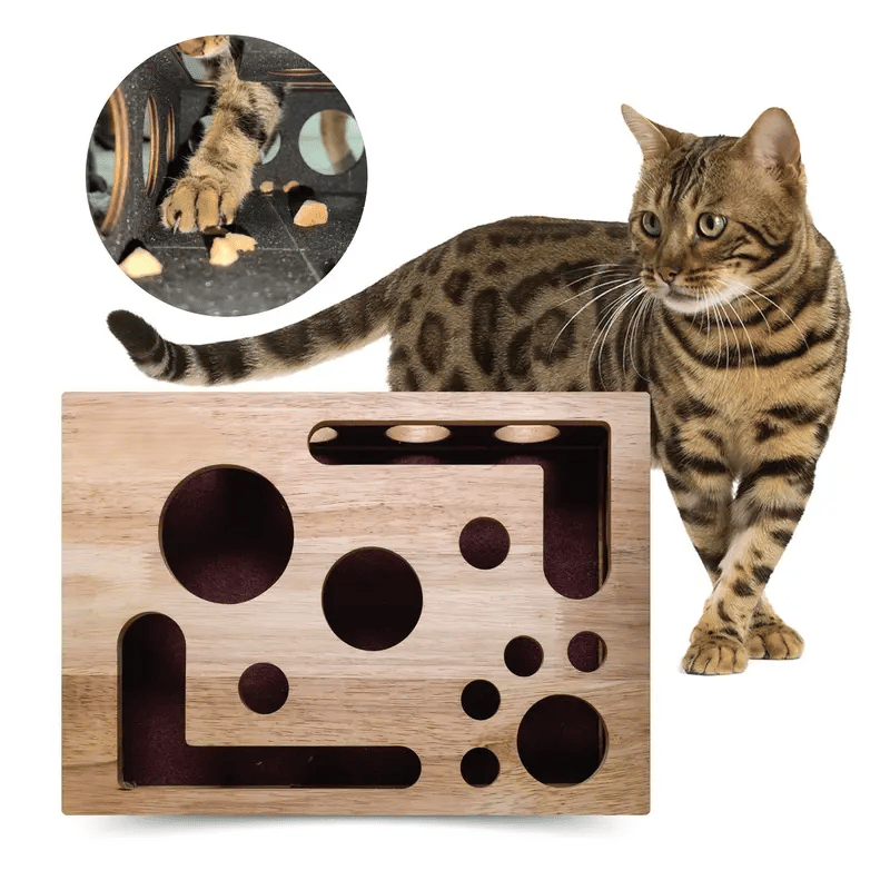 PawSense - Cat Enrichment File Box | The Fun Way To Trim Claws