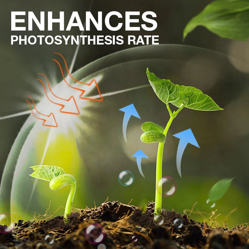 GrowBoost – Advanced Plant Growth Enhancer