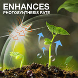 GrowBoost – Advanced Plant Growth Enhancer
