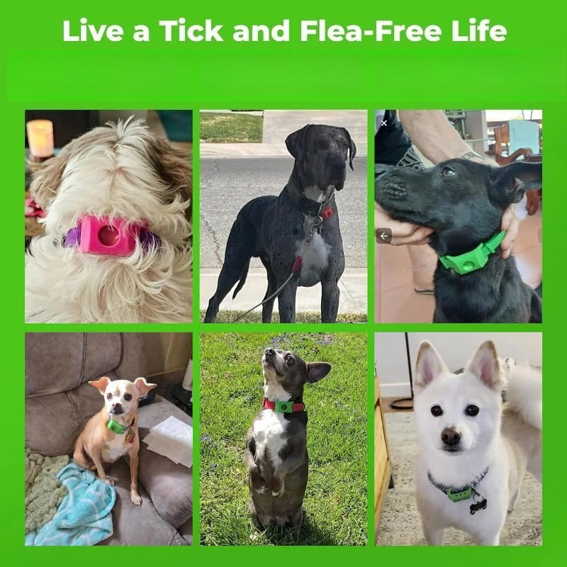 TickGuard – Chemical-Free Repellent Tag
