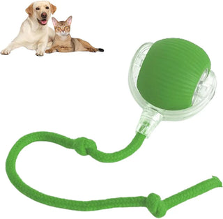 PetPlay - Smart Interactive Pet Toy Ball