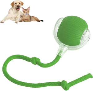 PetPlay - Smart Interactive Pet Toy Ball