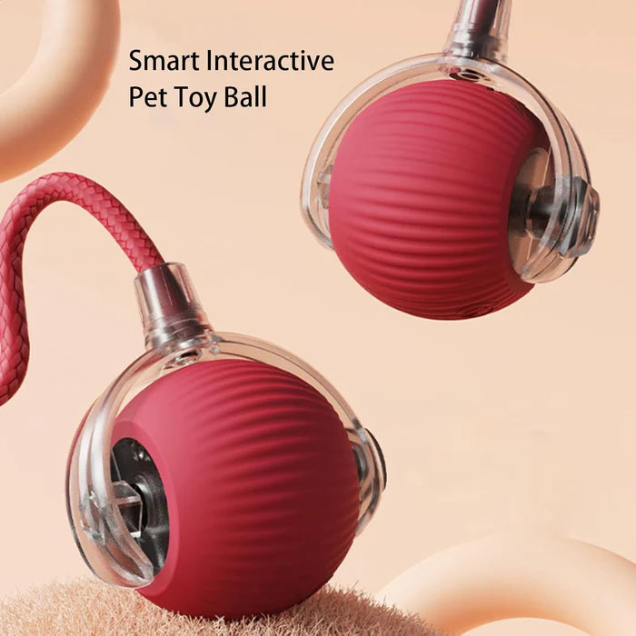 PetPlay - Smart Interactive Pet Toy Ball