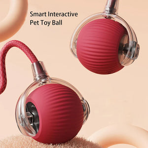 PetPlay - Smart Interactive Pet Toy Ball