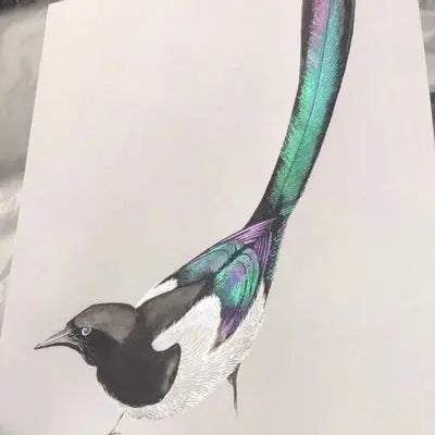 Watercolor Painting Set of 20 Colors marnetic