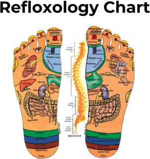 StepTherapy – Reflexology Massage Slides