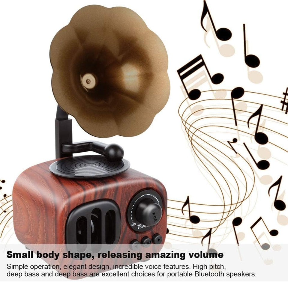 EchoGram - Vintage Wooden Bluetooth Speaker