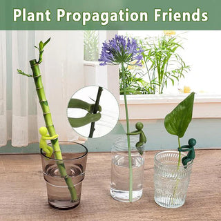 PlantPose – Creative Plant Propagation Friends