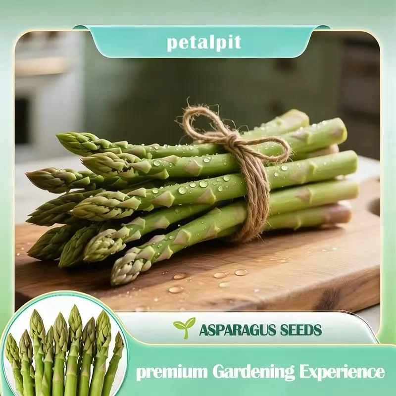 GardenPro – Perennial Tender Asparagus Seeds