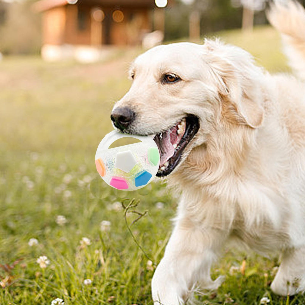FetchEase – Stress-Relief Durable Dog Ball
