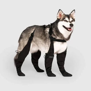 Doggie Strap Paw Protectors marnetic