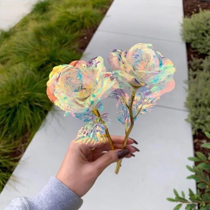 GlacierRose - Sophisticated Limited Edition Floral Gift