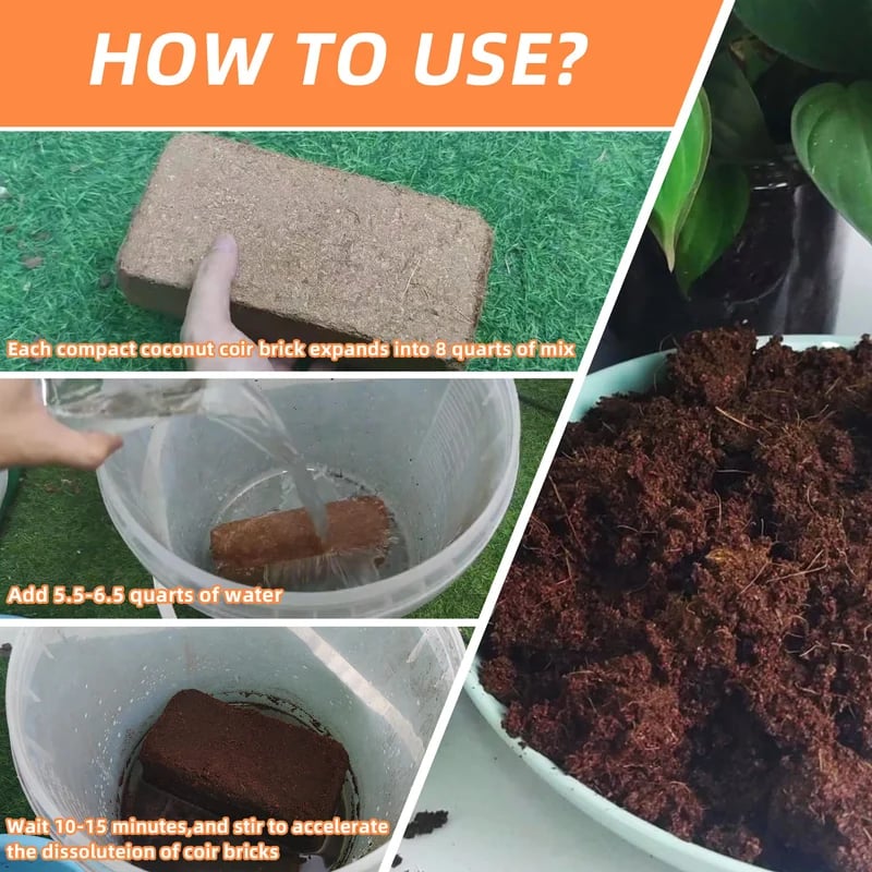 CocoBloom – Organic Coconut Coir Bricks for Healthy Plant Growth