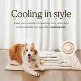 CooliPet – Smart 4X Effective Pet Cooling Mat