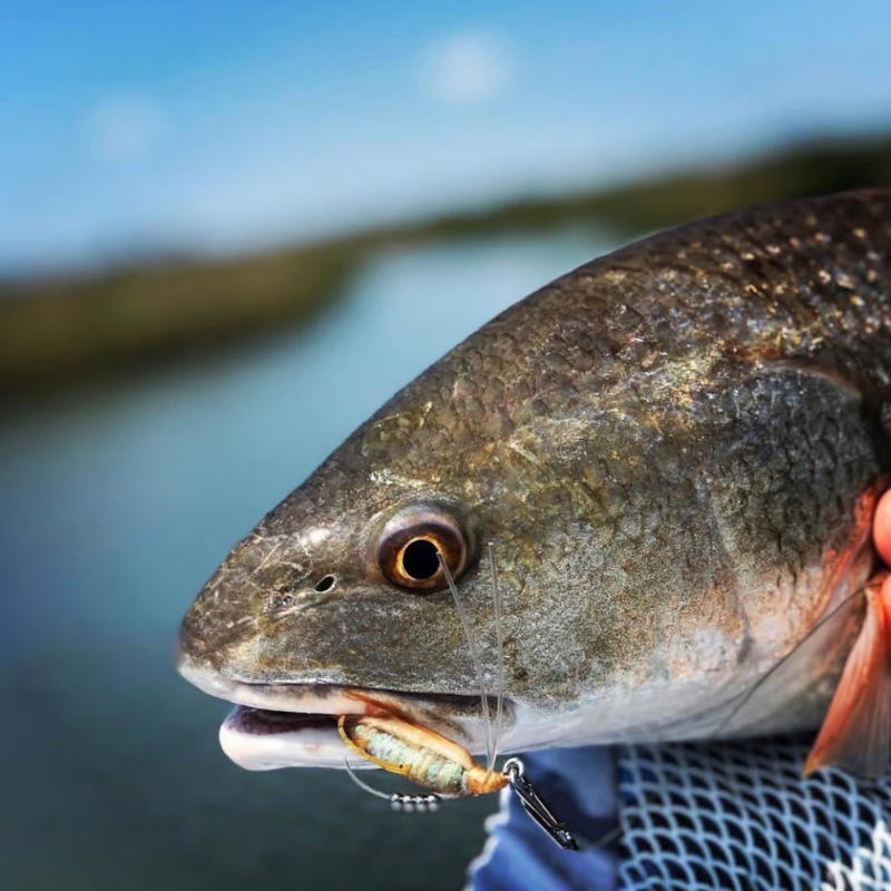 TopwaterCo – Quick Snap Fishing Speed Clips