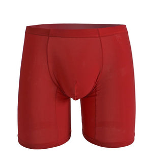 AeroFit – Lightweight Ice Silk Men’s Sports Briefs
