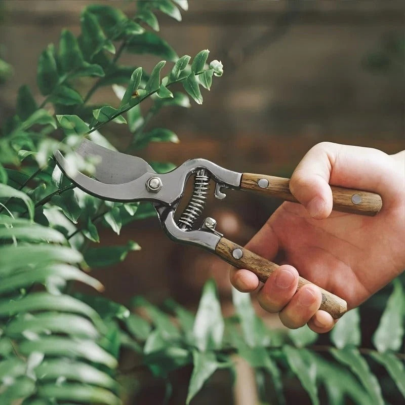 Rustica - Classic Hand-Forged Shears