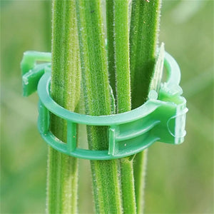 StemHold – Reusable Clips for Upright Plants