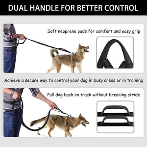 FreePace Leash - Waist Belt Dog Lead with Carry Pouch